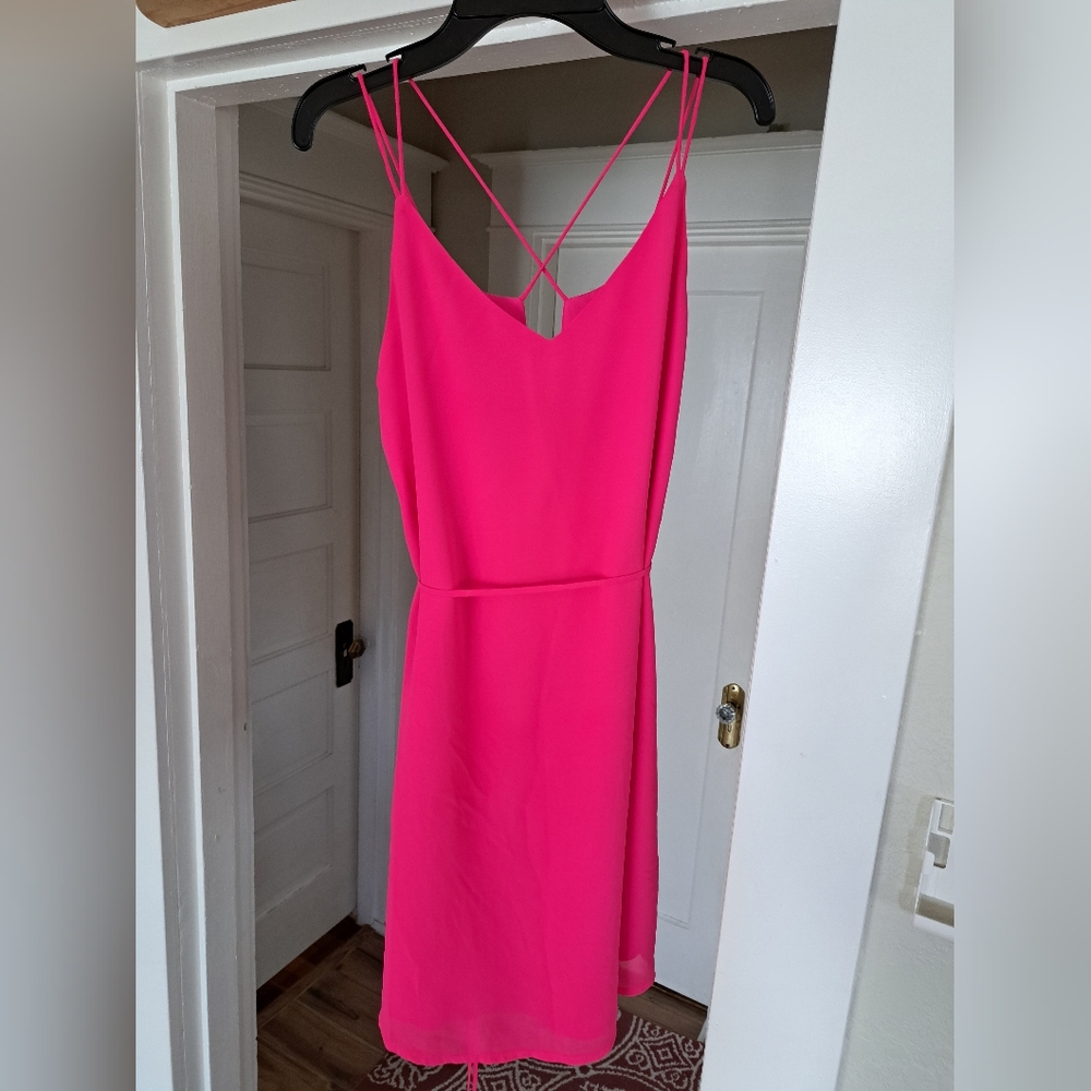 Naked Zebra Pink Spaghetti Strap Sheath Dress